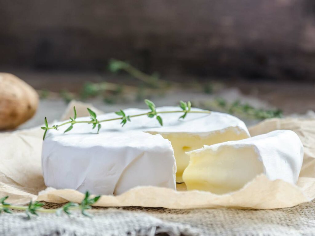 fromage camembert vin accord
