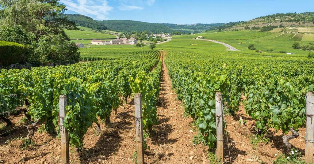 deux nouveaux domaines de bourgogne