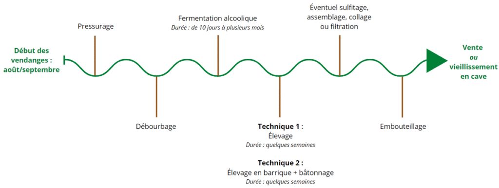 vinification en blanc