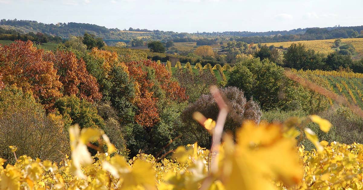 domaine de la bergerie