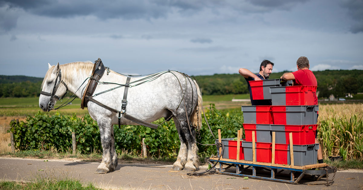 bourgogne chantereves