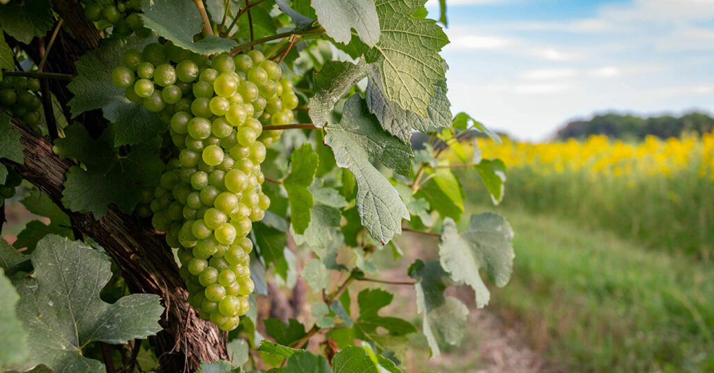 bourgogne voyage